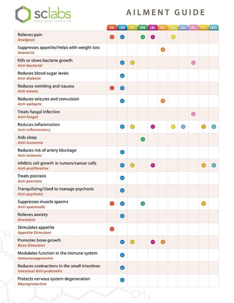 Finding the Perfect Cannabis Dosage | Herb Approach