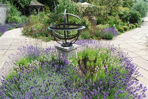 Garden design ideas lavender - Hawk Haven