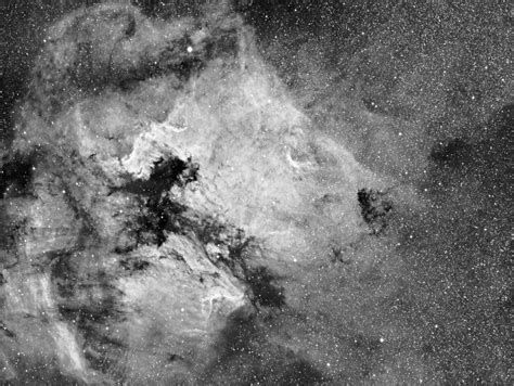 Astrophoto: A Different Look at North American Nebula by Carl Larson - Universe Today