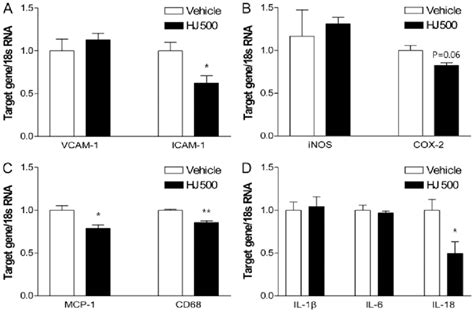 Effect of H. japonicus (HJ) on pro‑atherogenic gene expression in the... | Download Scientific ...