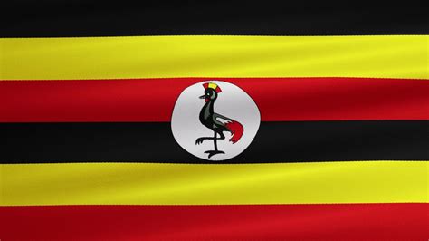 Flag of Uganda Waving [FREE] - YouTube