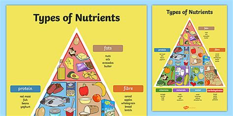 Types of Nutrients Pyramid Poster | Nutrients in Food