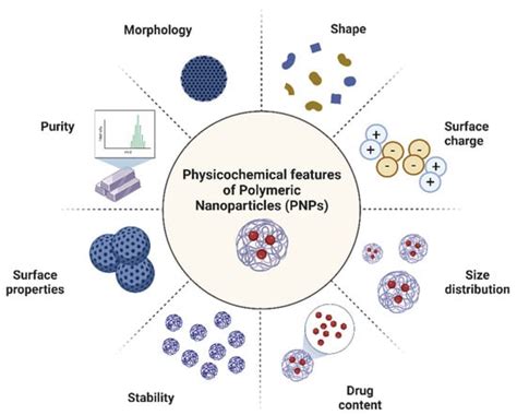 Characterization and Functionalization Approaches for the Study of Polymeric Nanoparticles: The ...