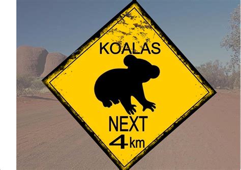 Australian Style Koala Road Sign – The Rooshty Beach