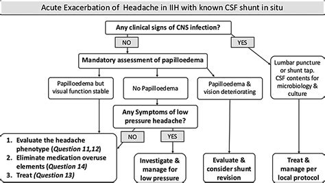 Idiopathic intracranial hypertension: consensus guidelines on ...