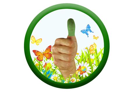 Thumb Green Thumbs Up · Free photo on Pixabay