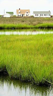 Tangier Island Vacation Rental: Doug and Patsy's Place on Tangier Island Va