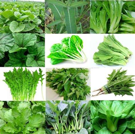 Leafy Spinach and its health benefits