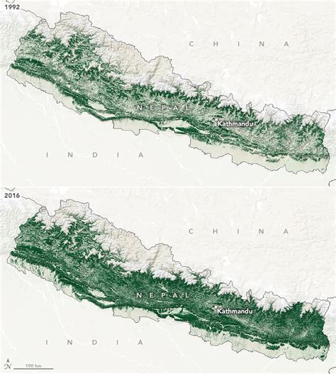 Nepal's forests were in trouble – then local communities stepped in