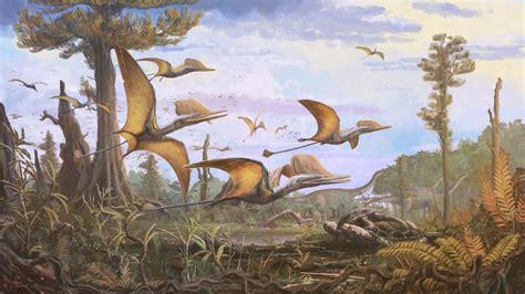 New species of pterosaur that lived nearly 170 million years ago ...