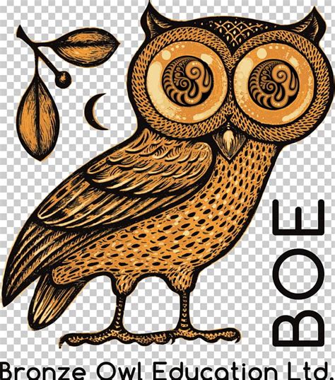 Owl Of Athena Classical Athens Greek Mythology PNG, Clipart, Ancient Greek Coinage, Animals ...