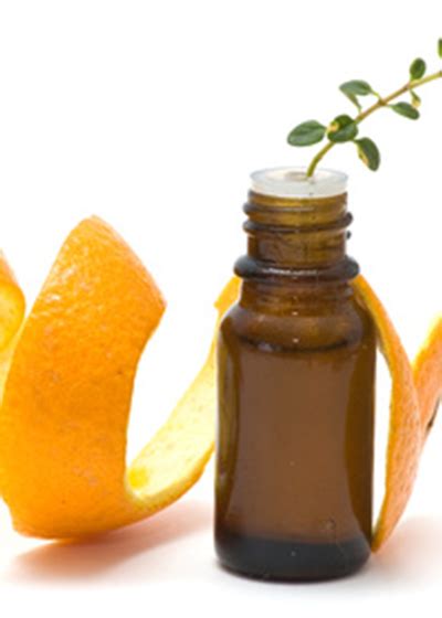 Bitter Orange Essential Oil 100% Pure and Natural Manufacture Wholesale