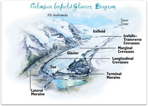 The Columbia Icefield