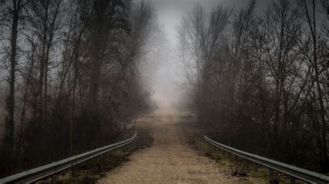 A Scary Path in the Forest · Free Stock Photo