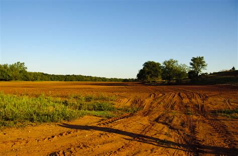 sharon webster works: Red Dirt Field