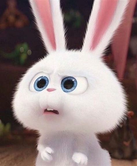 🎀𝖪𝗁𝗎𝗇𝗃𝖺𝖾𝖿𝖺𝗁 & 𝔪𝔬𝔫𝔰𝔱𝔢𝔯🕯 on Twitter | Cute bunny cartoon, Cartoon bunny, Cute cartoon wallpapers