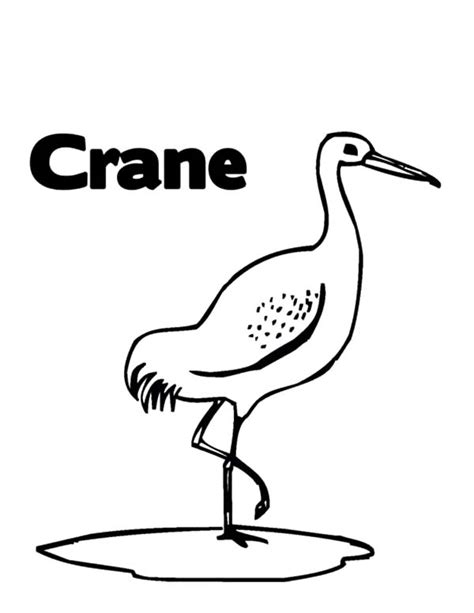 Crane Bird | NetArt