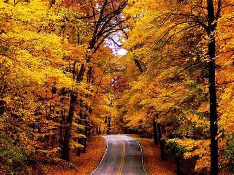 The Road - Autumn Wallpaper (16517219) - Fanpop