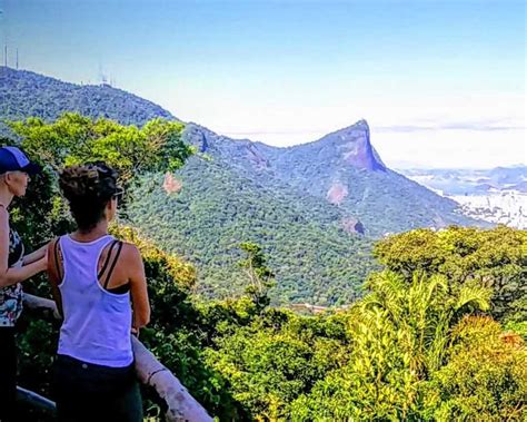 Private hike to hidden trails in Tijuca forest from Rio de Janeiro ...