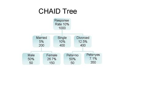 Market Segmentation: Defining Target Markets with CHAID