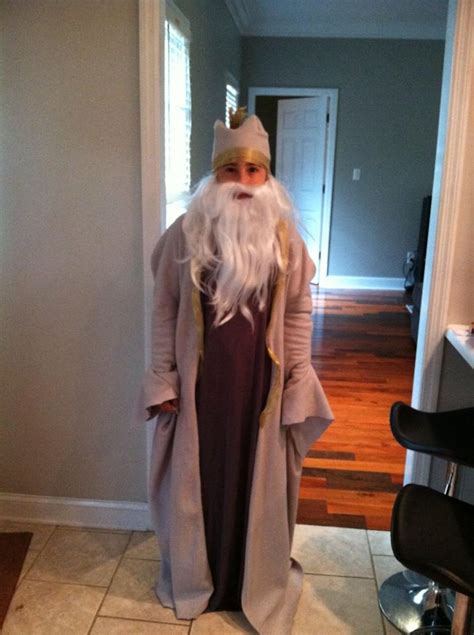 Dumbledor costume 2014 | Dumbledore costume, Harry potter halloween, Long sleeve dress