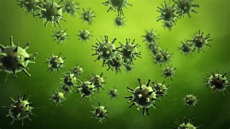 Virus Under A Microscope - Stock Motion Graphics | Motion Array