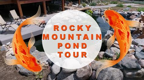 Colorado Water Gardens and Koi Ponds | Koi Tour 2018 - YouTube