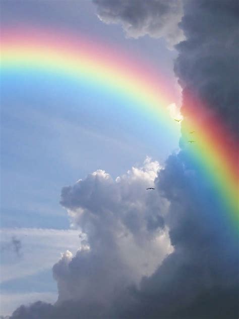 Sky with rainbow | Rainbow photo, Rainbow pictures, Rainbow sky