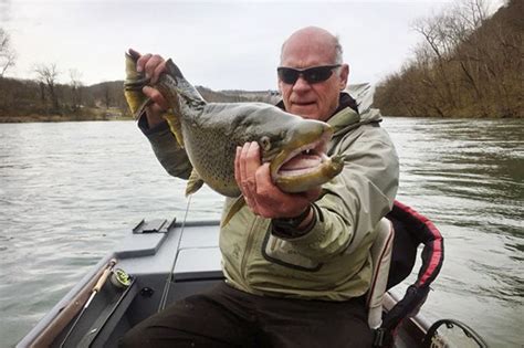 State fishing report | The Arkansas Democrat-Gazette - Arkansas' Best ...