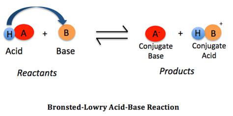 Bronsted-Lowry Acid | Definition, Theory & Examples - Lesson | Study.com