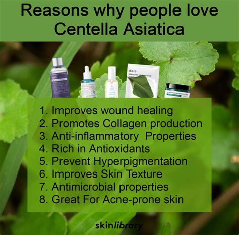 Centella Asiatica aka Cica Skincare benefits | Skin care essentials, Improve skin texture ...