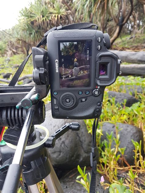 Free stock photo of photo shoot, rock balancing