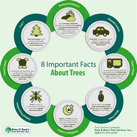 8 Important Facts About Trees | Shared Info Graphics