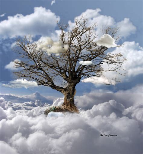 The Tree of Heaven by egypt04 on DeviantArt