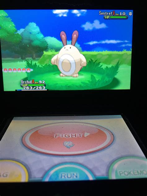 [Gen 7] Shiny sentret! About 3500 res 2nd one for my shiny living dex : r/ShinyPokemon