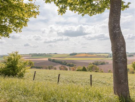 Cycling in Limburg (Netherlands) | The three country border and more!