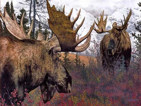 Compare Prices on Moose Oil Painting- Online Shopping/Buy Low Price ...