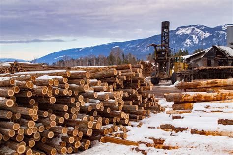 Canadian lumber mills desire a new cope with the U.S — and their ...