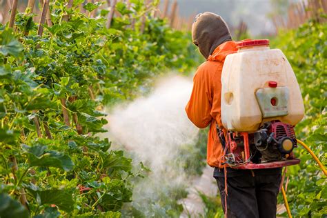 Ces 7 fruits et légumes sont les plus riches… en pesticides! | gourmandiz.be