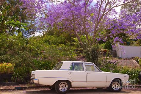 Classic Car Valiant Photograph by Win Naing - Fine Art America