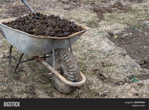 Horse Manure Garden Image & Photo (Free Trial) | Bigstock