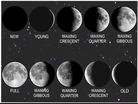 38 best Waxing Crescent Moon Tattoo images on Pinterest | Crescent moon tattoos, La luna and Moon