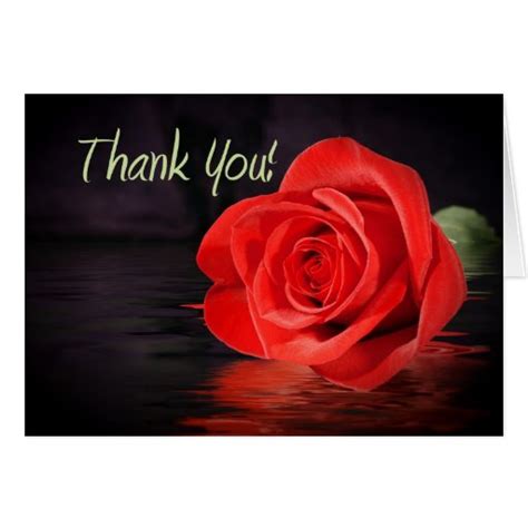 Red Rose Thank You Greeting Cards | Zazzle