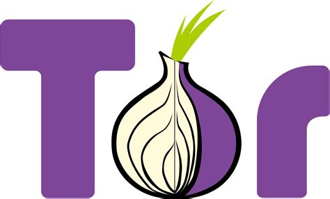 TOR vs VPN : que choisir pour se protéger et être anonyme en ligne