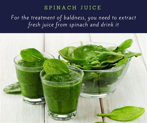 Spinach is rich in vitamins, calcium, potassium, and omega-3 fatty ...