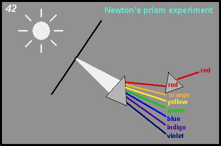 Slide Show: The Neural Control of Vision J-1