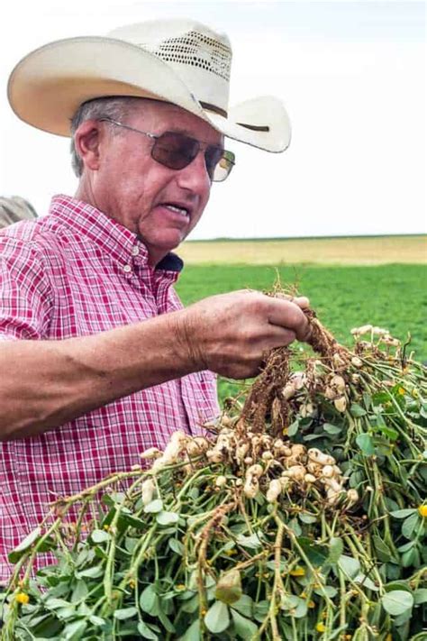 Texas Peanut Farm Tour 2016