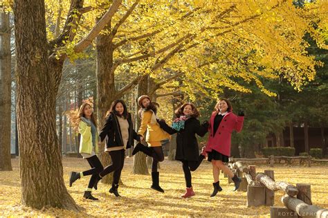 Seoul Nami Island Autumn Fall South Korea Family Portrait Photographer ...