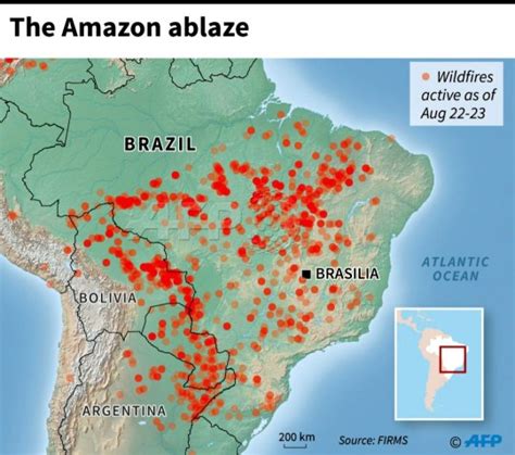 Map shows huge scale of fires ravaging Amazon rainforest | Metro News