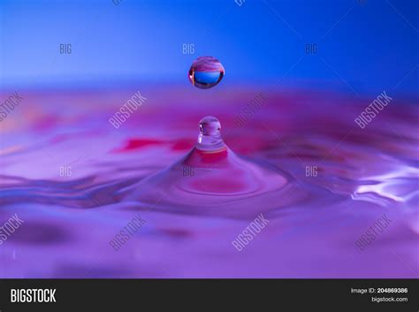 Macro Water Drop Image & Photo (Free Trial) | Bigstock